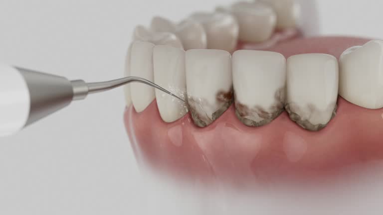 Reliable Dental contractor in Scott County County, TN by Dentist Open Now